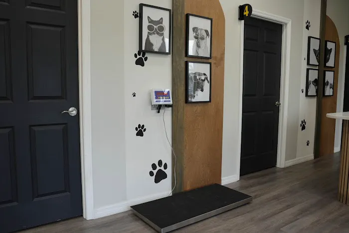 Collier Parkway Animal Hospital Picture 2