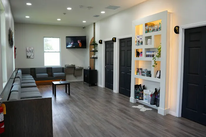 Collier Parkway Animal Hospital Picture 5