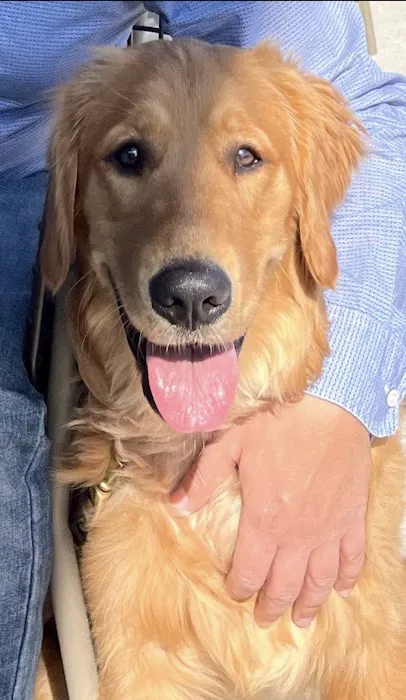 Collier Parkway Animal Hospital Picture 9