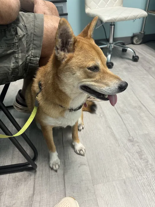 GentleCare Pet Hospital Picture 7