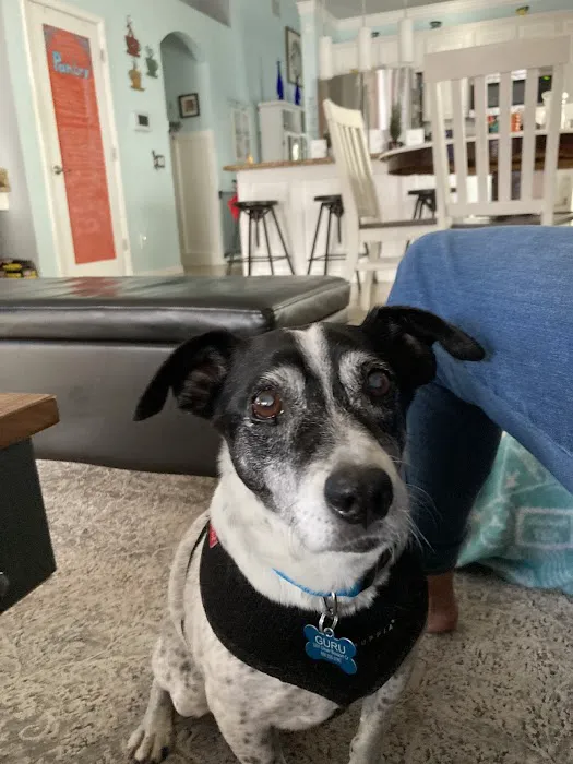 GentleCare Pet Hospital Picture 8