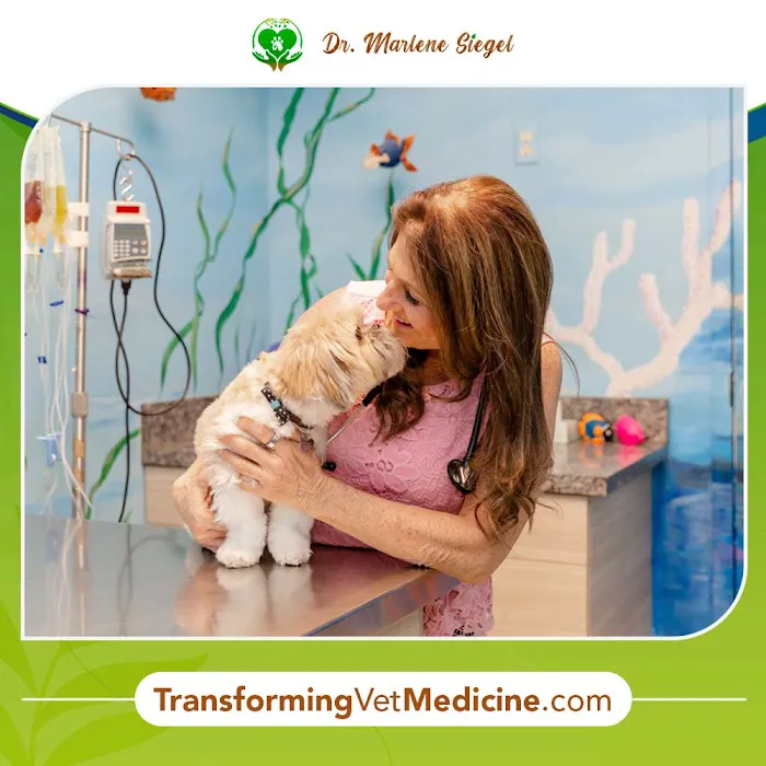 Dr. Marlene Siegel DVM Picture 9