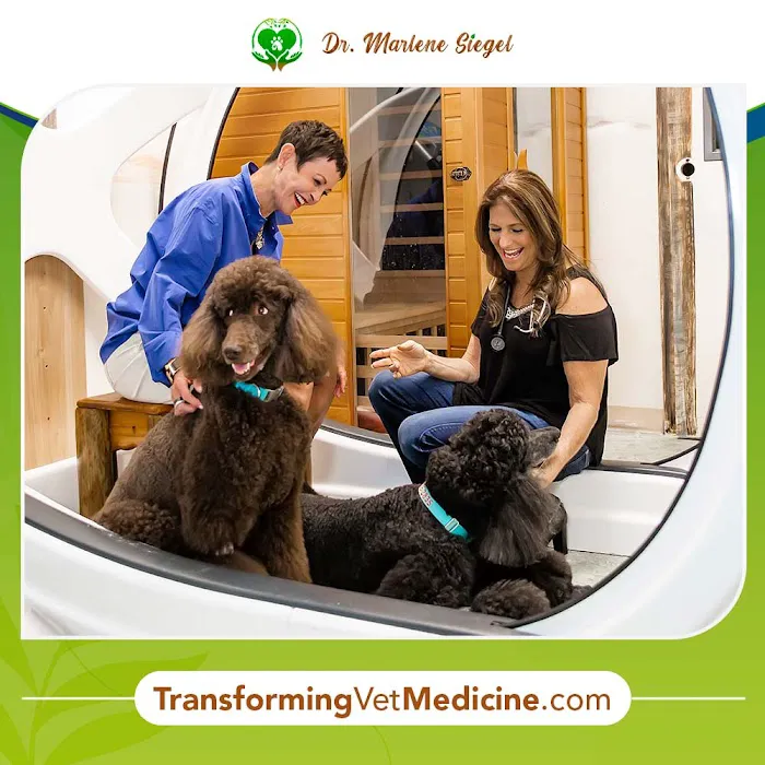 Dr. Marlene Siegel DVM Picture 8