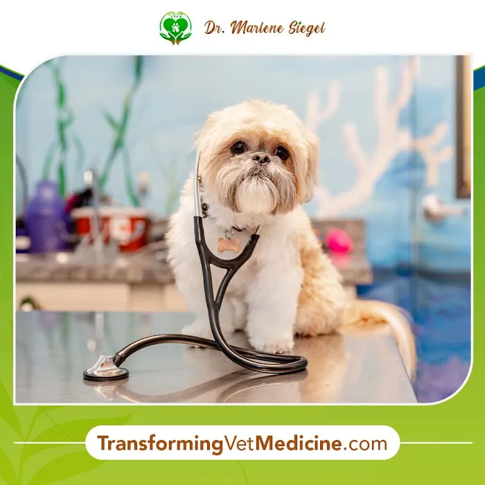 Dr. Marlene Siegel DVM Picture 3