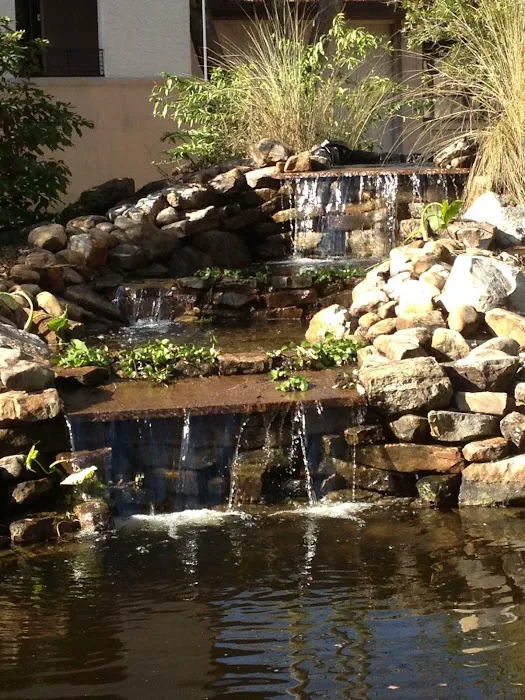 Pasco Veterinary Medical Center Picture 6