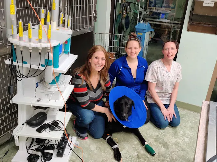 Pasco Veterinary Medical Center Picture 1