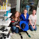 Pasco Veterinary Medical Center
