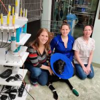 Pasco Veterinary Medical Center ico