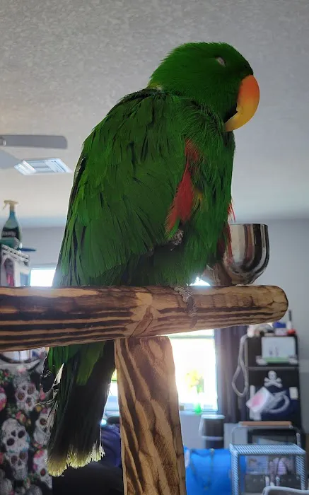 Pasco Veterinary Medical Center Picture 4