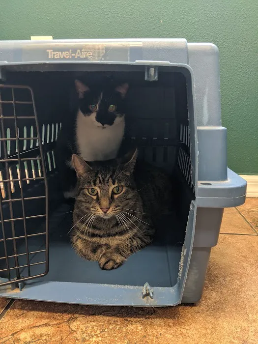 Wesley Chapel Veterinary Clinic Picture 10