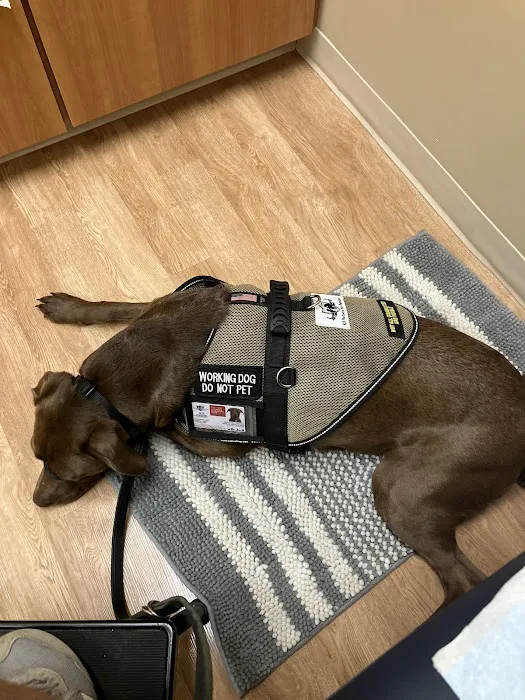 Banfield Pet Hospital Picture 2