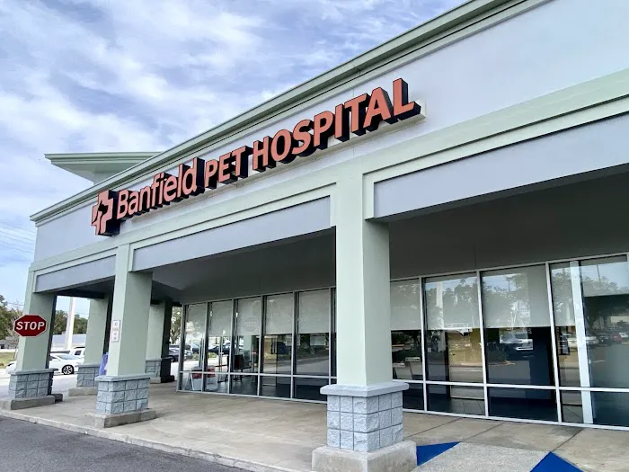 Banfield Pet Hospital Picture 1