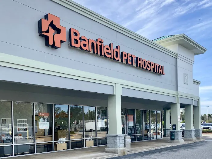 Banfield Pet Hospital Picture 4