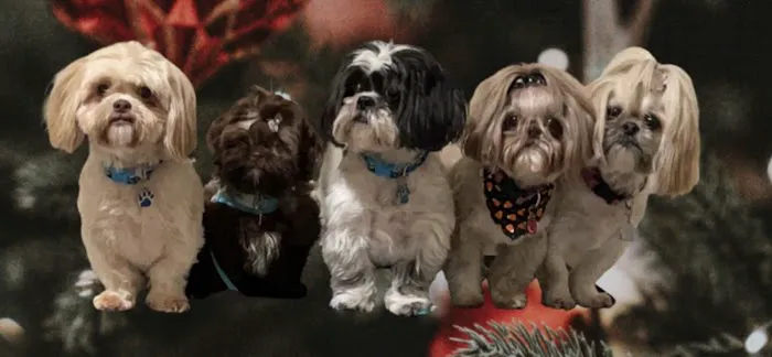 Banfield Pet Hospital Picture 6