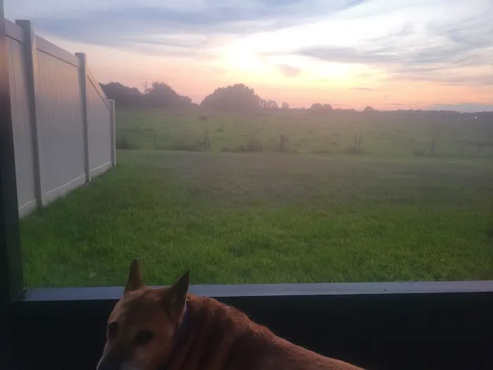 Banfield Pet Hospital Picture 7