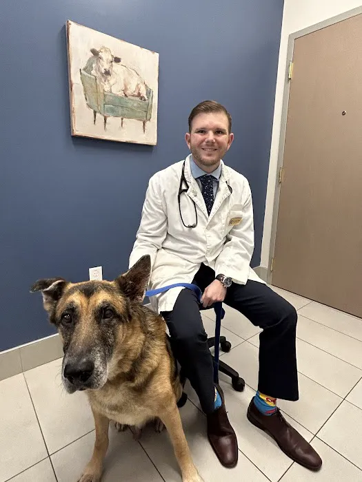 Bliss Family Veterinarian Picture 4