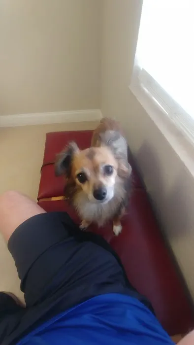 Central Pasco Vet Care Picture 5
