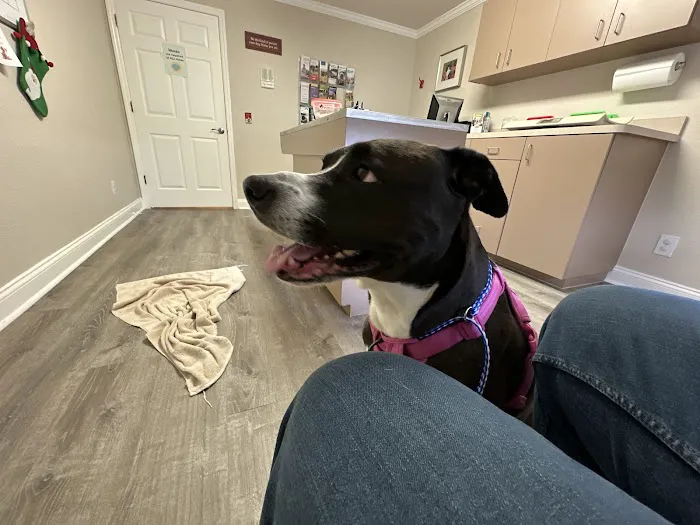 Central Pasco Vet Care Picture 2