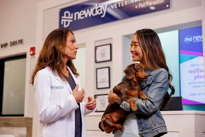 NewDay Veterinary Care Picture 6