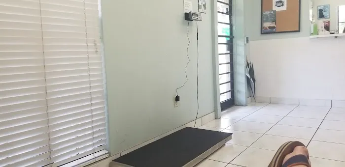 Land O Lakes Animal Hospital Picture 4