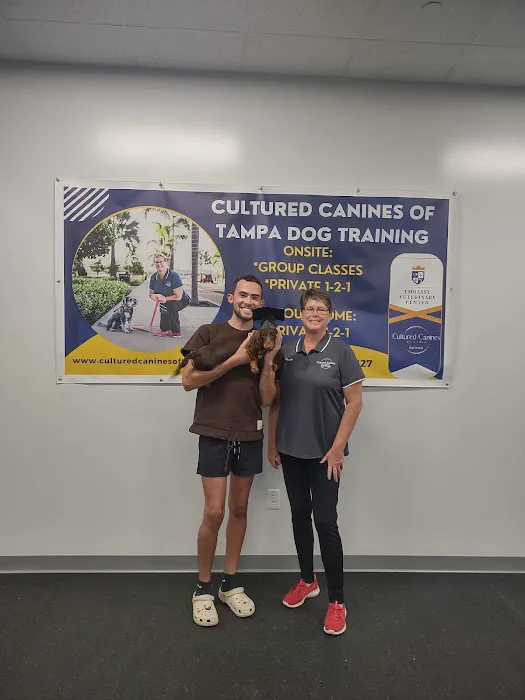 Embassy Veterinary Center & Pet Retreat Tampa Picture 8