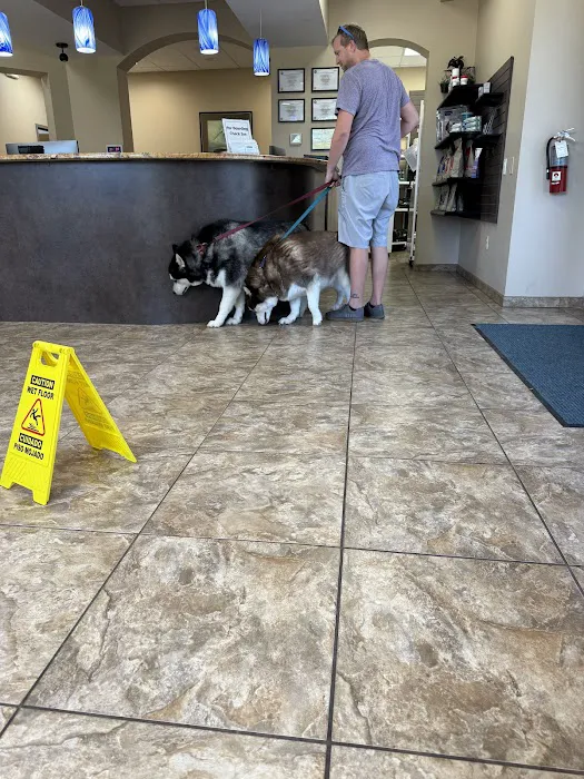 Valrico Animal Clinic Picture 8