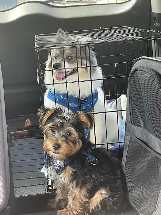 Banfield Pet Hospital Picture 3