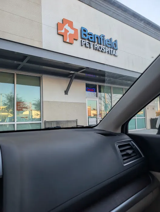 Banfield Pet Hospital Picture 5