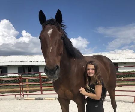 Brandon Equine Medical Center