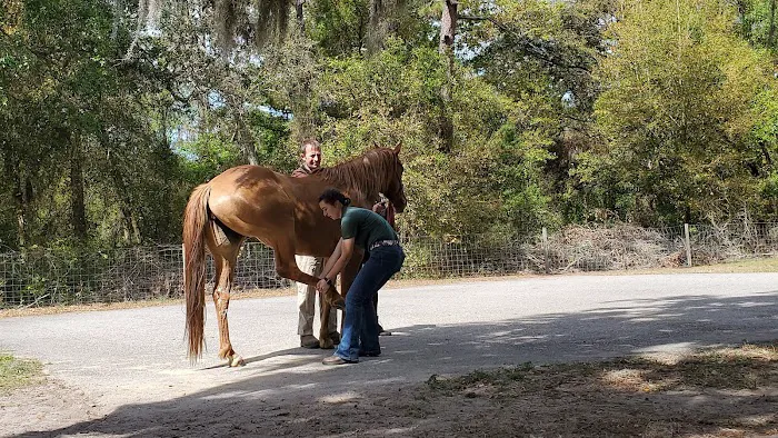 Brandon Equine Medical Center Picture 9