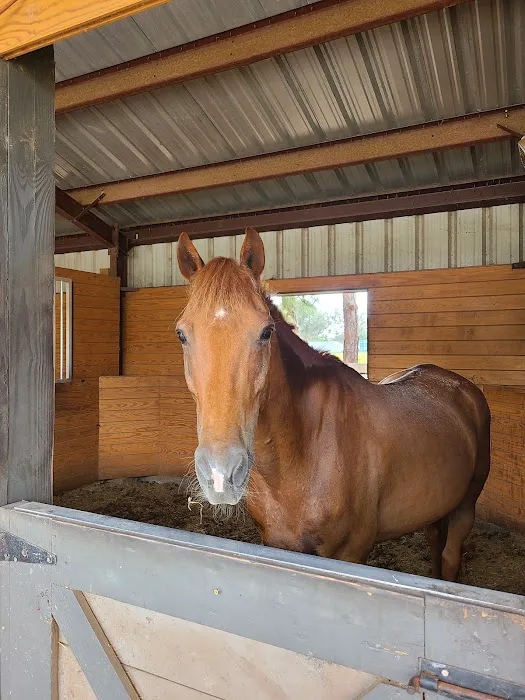 Brandon Equine Medical Center Picture 3