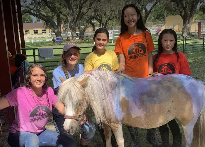 Brandon Equine Medical Center Picture 4