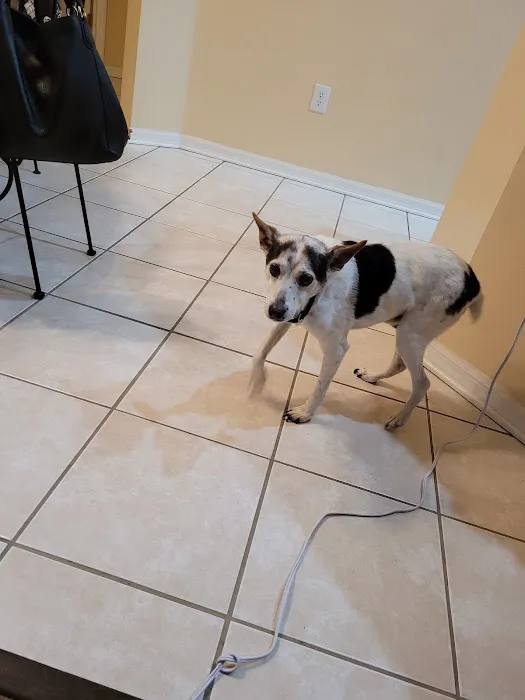 Bloomingdale Animal Hospital Picture 1