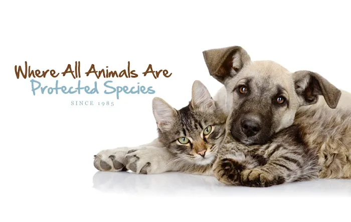 Bloomingdale Animal Hospital Picture 3