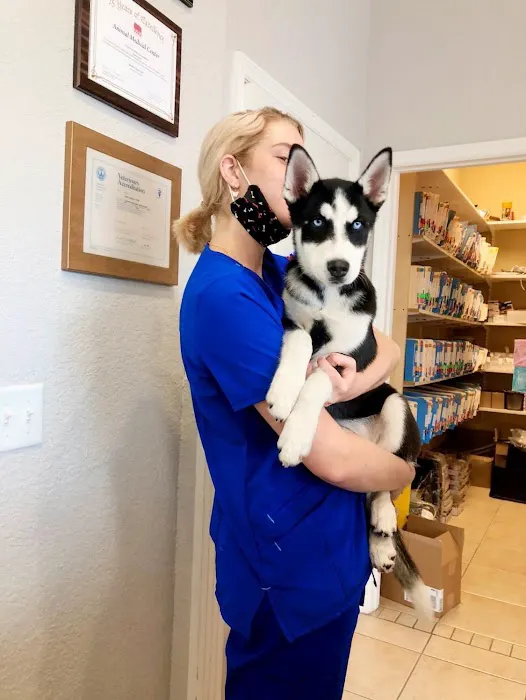 Animal Medical Center Picture 5