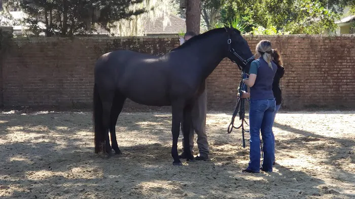 Surgi-Care Center For Horses Picture 8