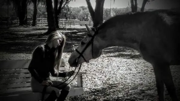 Surgi-Care Center For Horses Picture 1