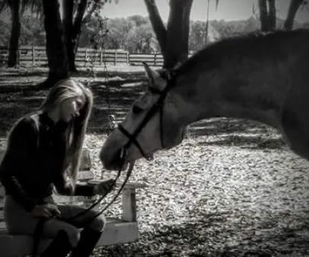 Surgi-Care Center For Horses