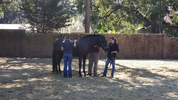 Surgi-Care Center For Horses Picture 7