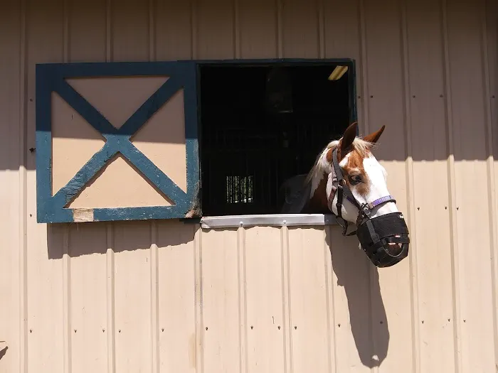 Surgi-Care Center For Horses Picture 10