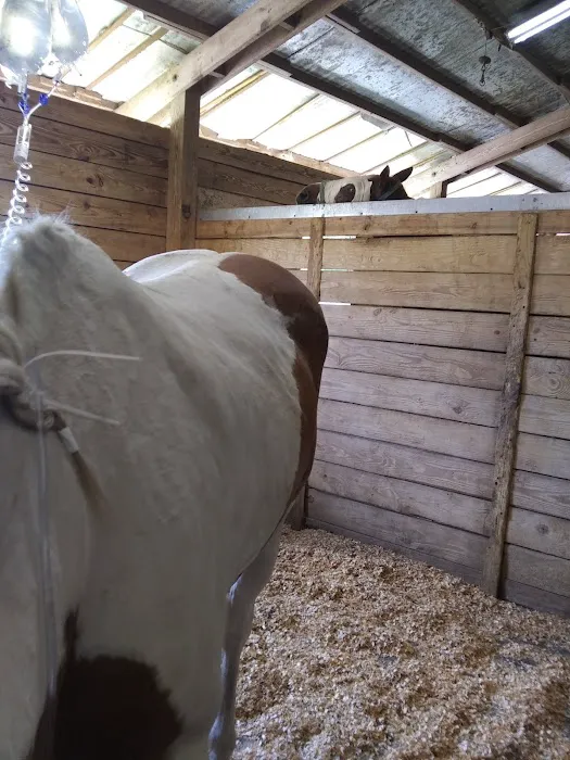 Surgi-Care Center For Horses Picture 6