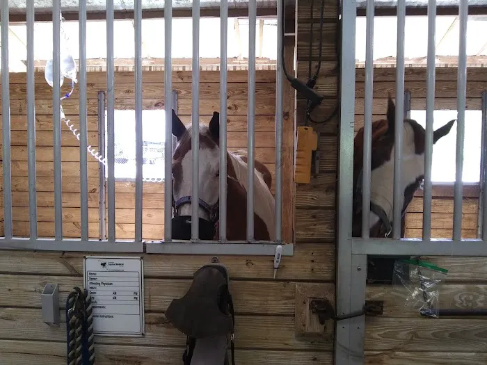 Surgi-Care Center For Horses Picture 4