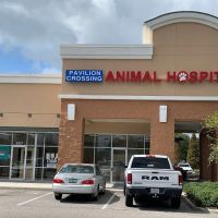 Pavilion Crossing Animal Hospital & Grooming ico