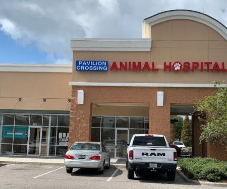 Pavilion Crossing Animal Hospital & Grooming