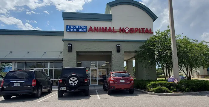 Pavilion Crossing Animal Hospital & Grooming Picture 6