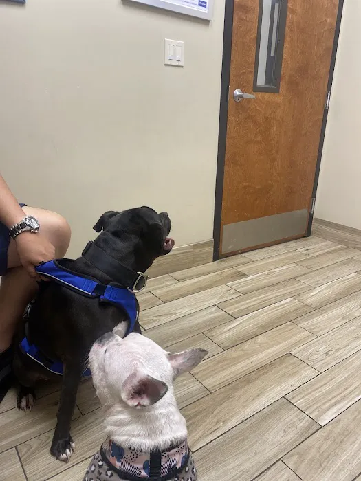 Pavilion Crossing Animal Hospital & Grooming Picture 4