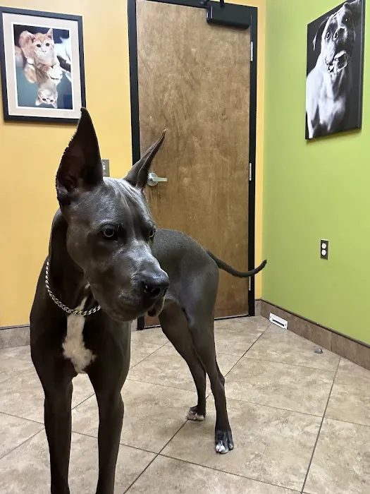 Brandon Lakes Animal Hospital Picture 1
