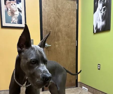 Brandon Lakes Animal Hospital