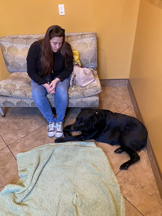 Brandon Lakes Animal Hospital Picture 2