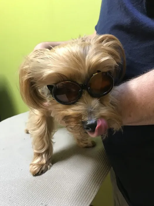 Brandon Lakes Animal Hospital Picture 8